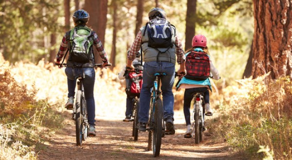 family cycling thru NZ forest track