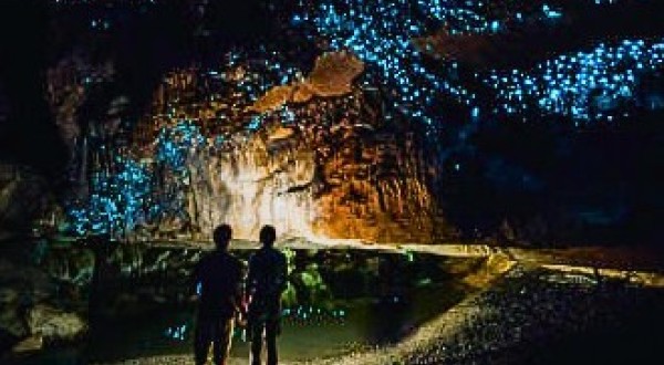 Best Cave Photos Waitomo 457165f158b6