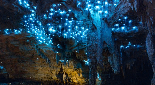 Glowworm Cave Waitomo NZ