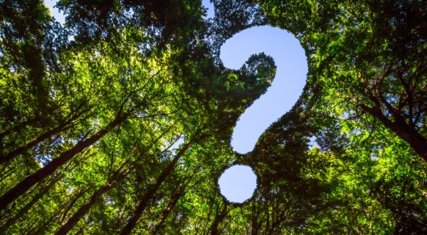 Waitomo FAQs