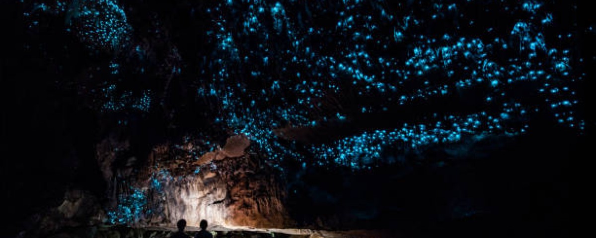 waitomo caves