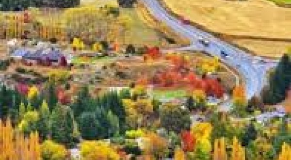 waitomo.images